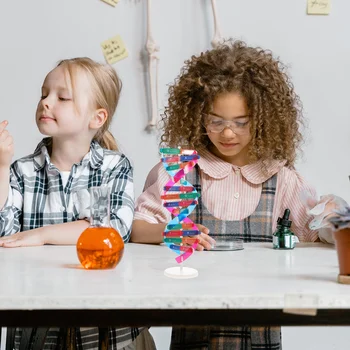 Модел на двойната спирала, самосглобяването ДНК, популяризиране на биологичните науки, играчки за ранно образование за дома, офиса, училището